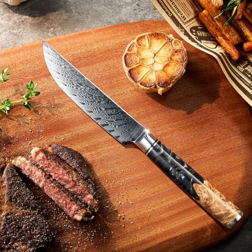 SENKEN Damascus Steak Knife Set (6 Count)