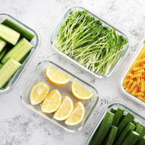 Large Glass Meal Prep Containers (Cream / 5 Pack)