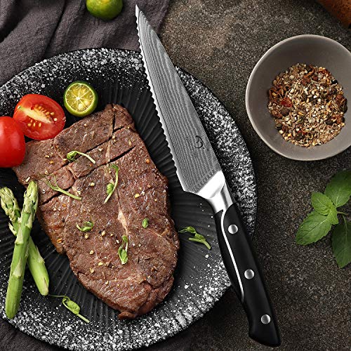 Damascus Kitchen Knife Sets (9 Count)
