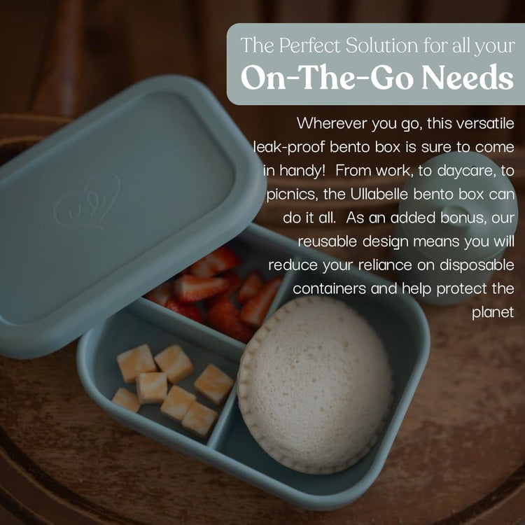 Kids Bento Box