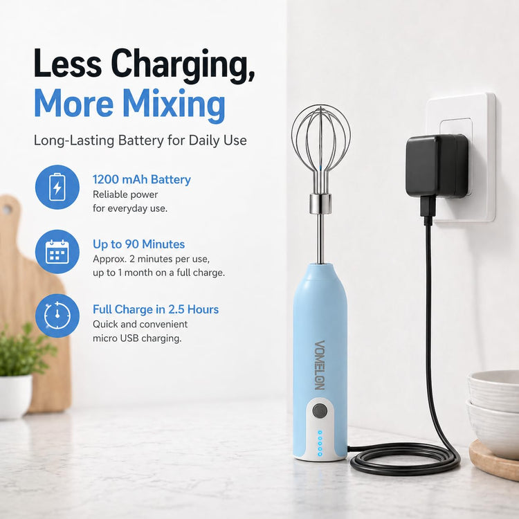 Egg Beater Whisk