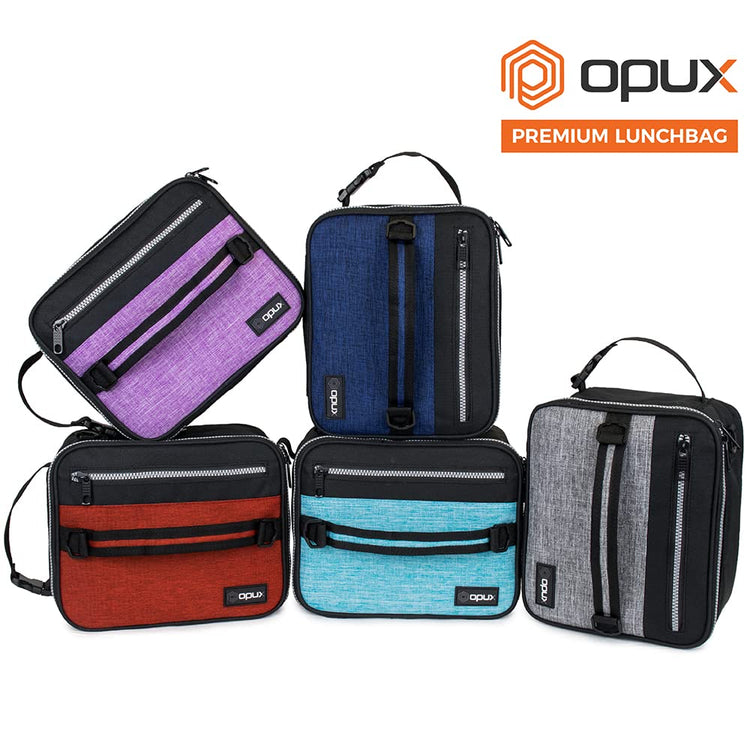 Insulated Lunch Bag for Men Women Kids