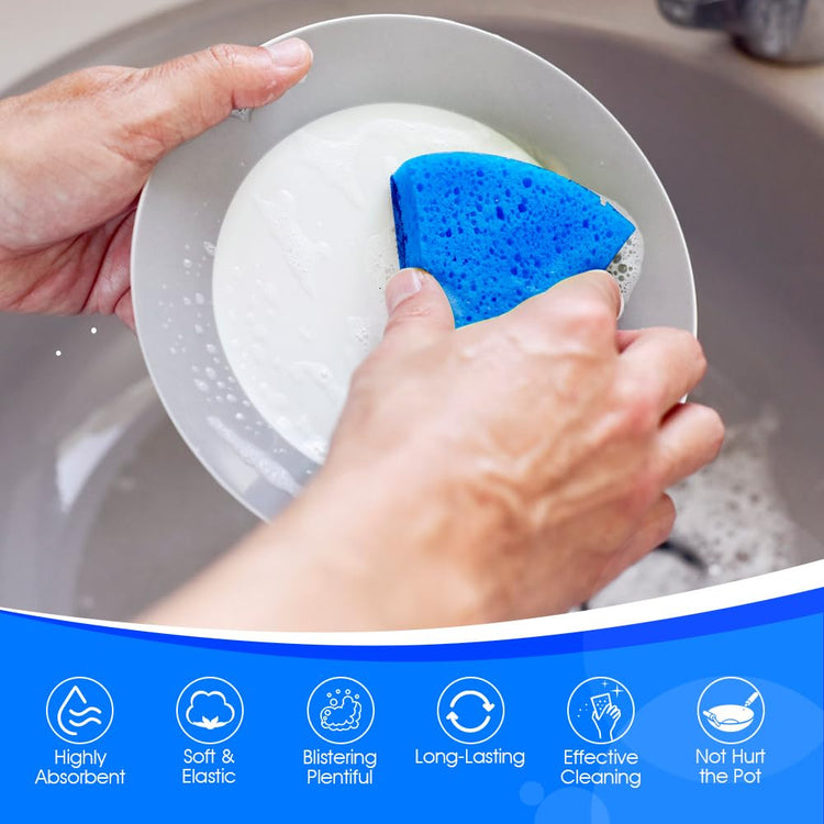 Non Scratch Scrub Sponges (24 Count)