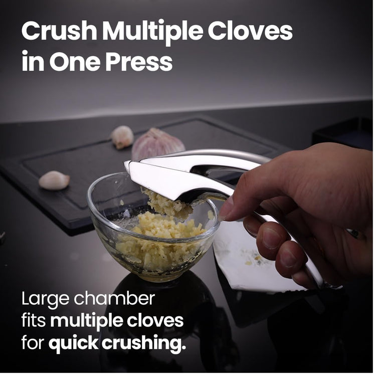 Lifetime Replace Garlic Press