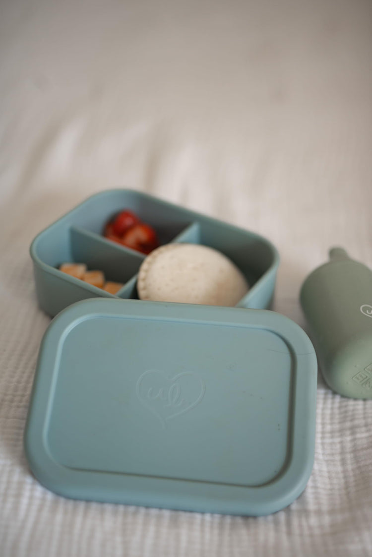 Kids Bento Box