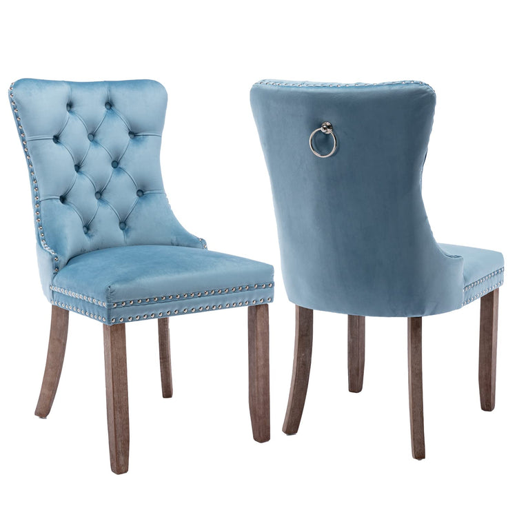 Light Blue Velvet Dining Chairs Set of 2 (2 Count)