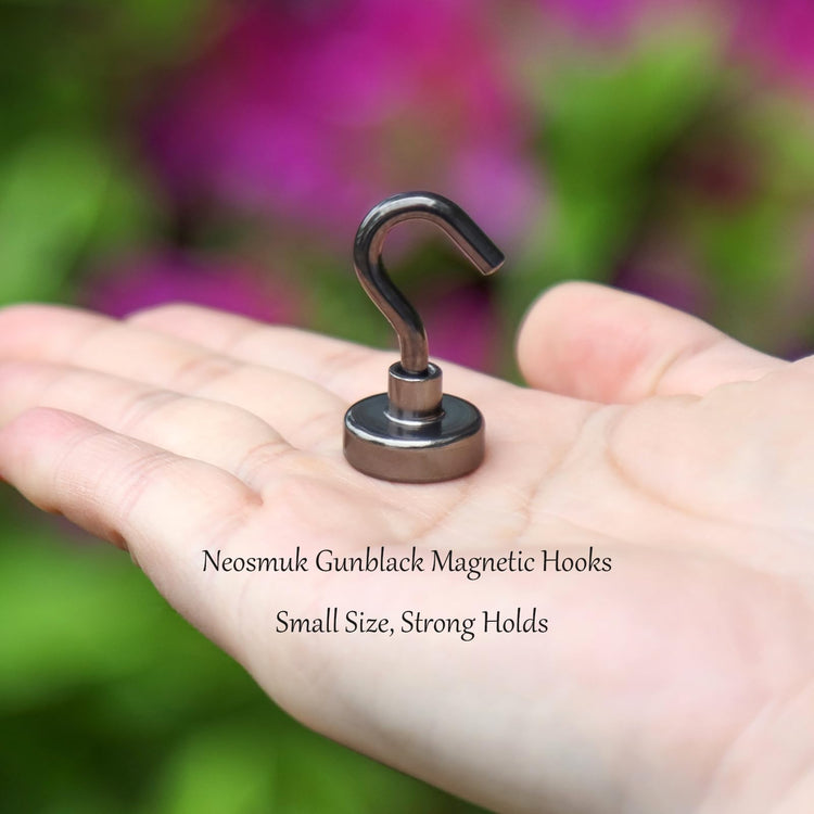 Magnetic Hooks (15 Count)