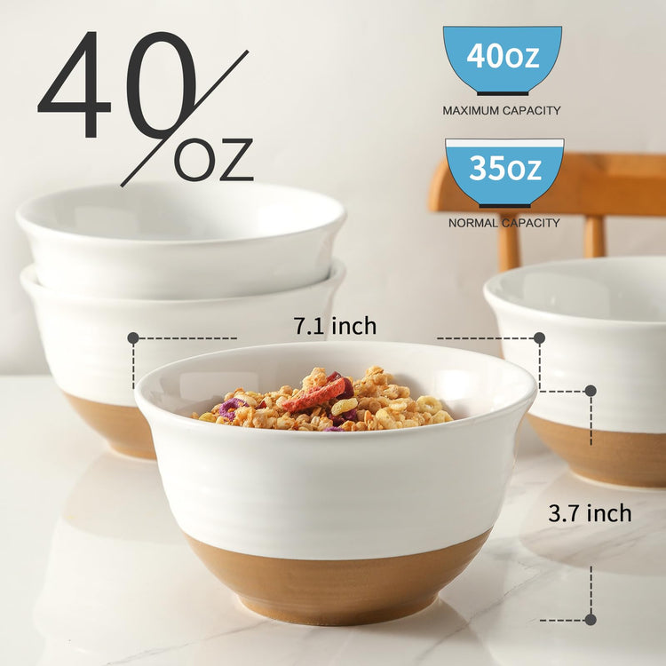 Large Ceramic Soup Bowls Set of 4 (4 Count)