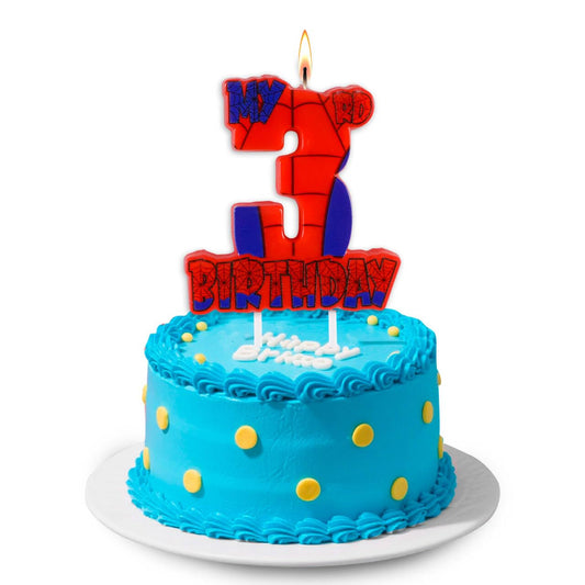 Spider Birthday Party Decorations