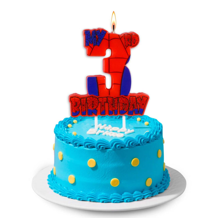 Spider Birthday Party Decorations