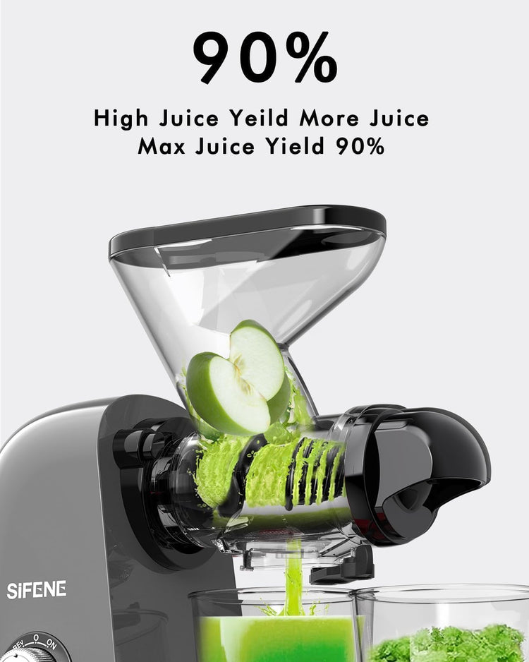Mini Slow Masticating Juicer