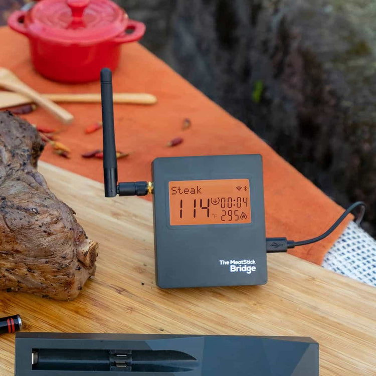 MeatStick WiFi Travel Pack