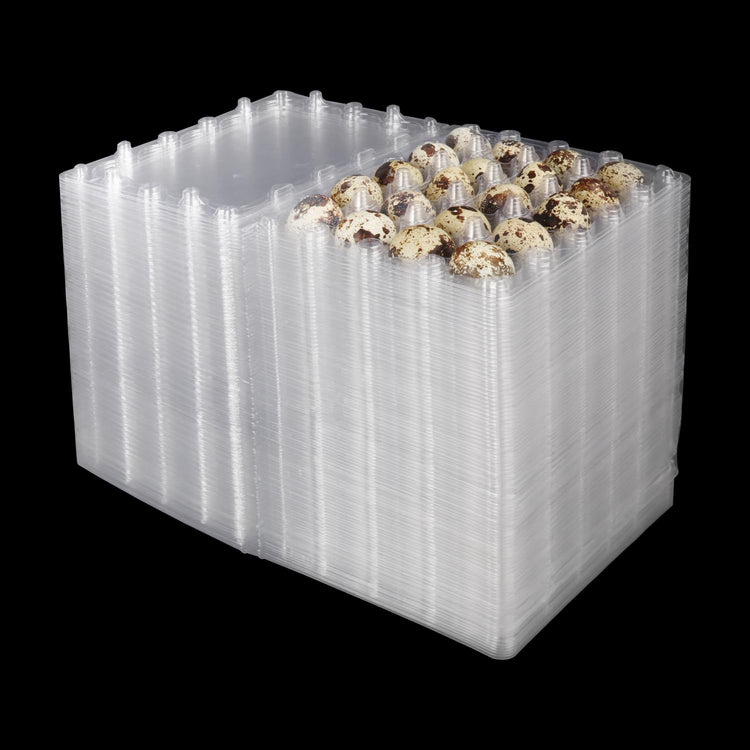 150 Pack Quail Egg Cartons
