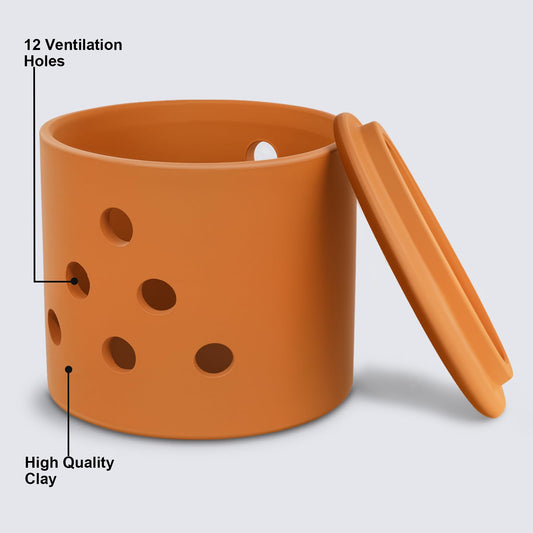 Terracotta Garlic Keeper