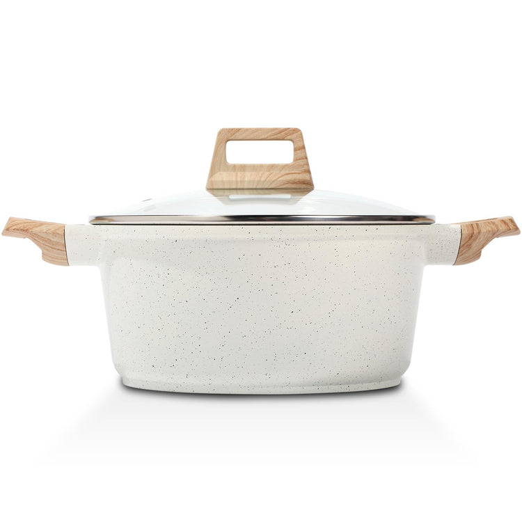 Nonstick Stock Pot with Lid