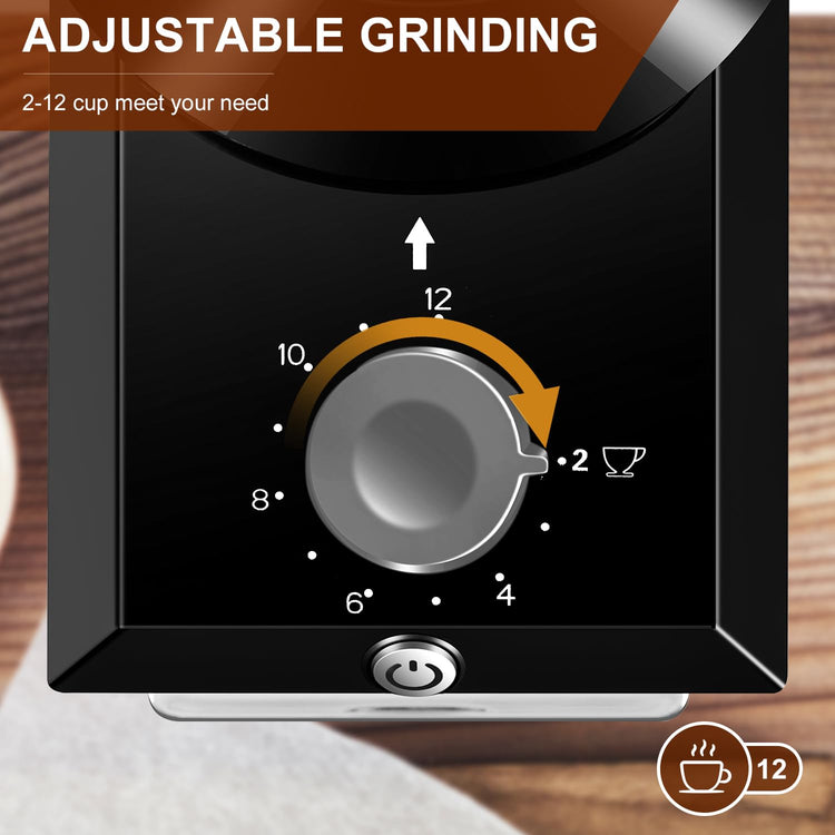 Electric Burr Coffee Grinder