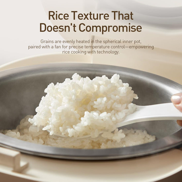 Stainless Steel Rice Cooker (6 Count)