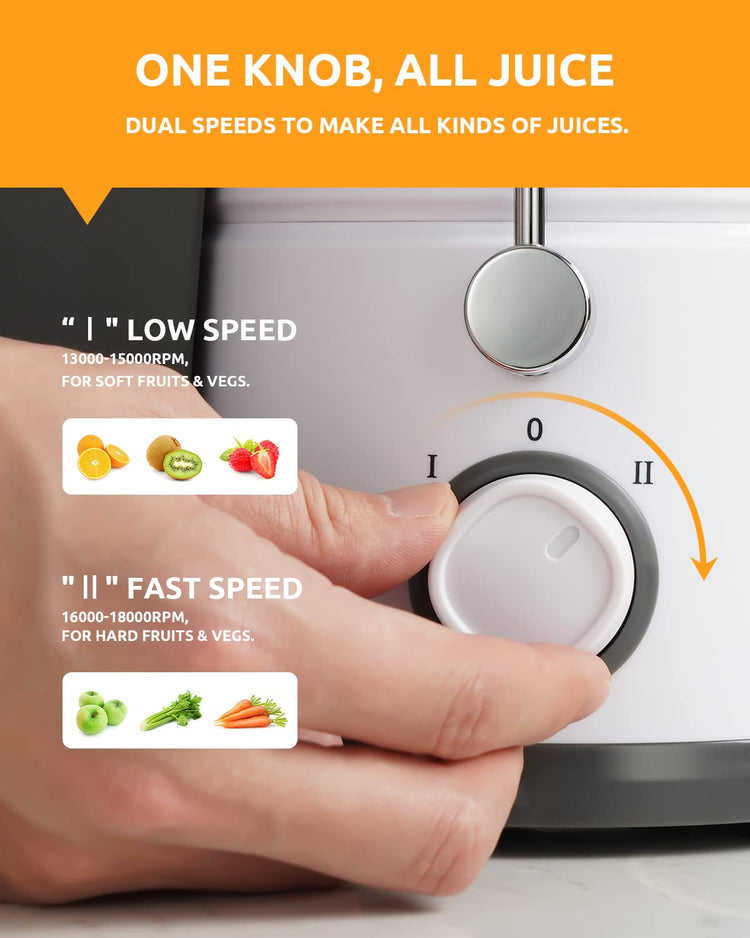800W Juicer Machine