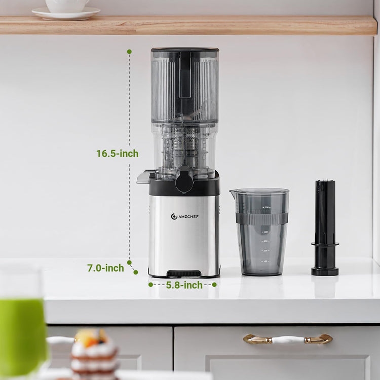 Cold Press Juicer