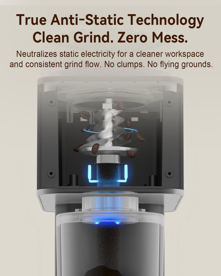 Electric Conical Burr Coffee Grinder with Removable Coffee Scale