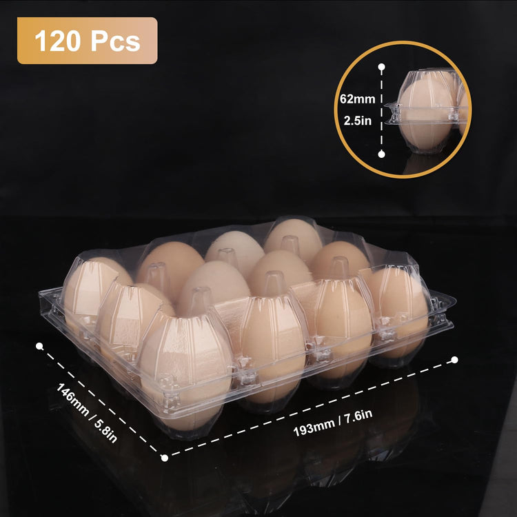 120 Pack Bulk Egg Cartons (120 Count)
