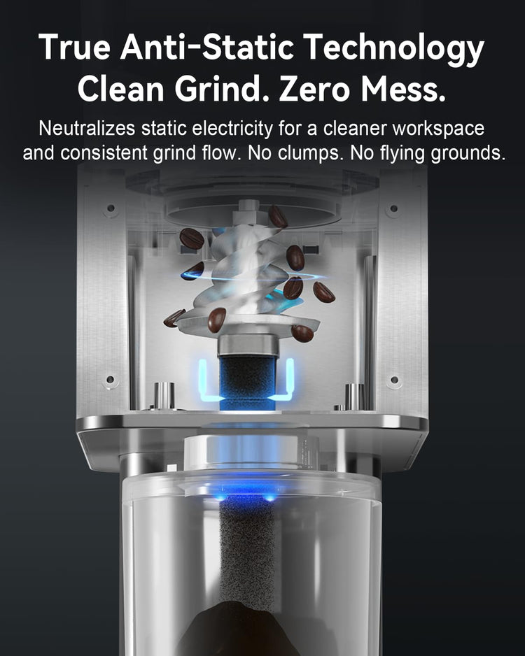 Electric Conical Burr Coffee Grinder with Removable Coffee Scale