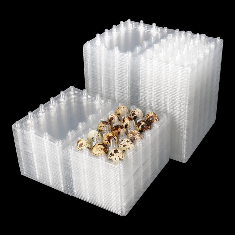 200 Pack Quail Egg Cartons (200 Count)