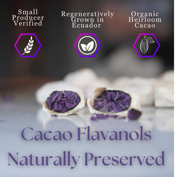 High Flavonal 100% Raw Cocoa Energy Nibs (10 Ounce)