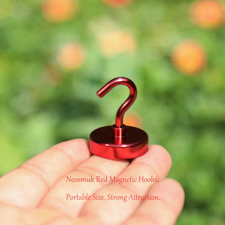 Magnetic Hooks (10 Count)