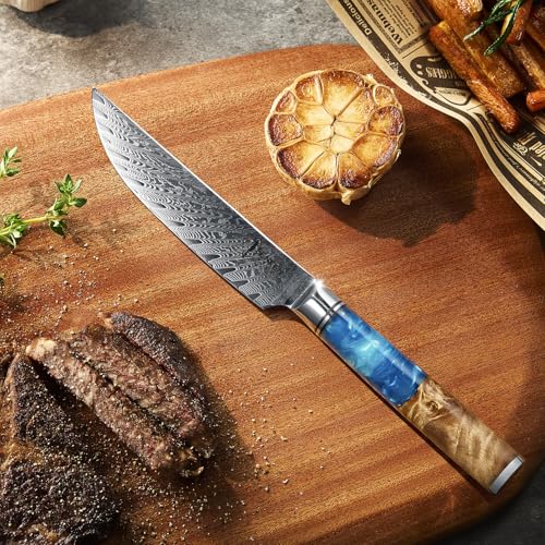 SENKEN Damascus Steak Knife Set (4 Count)