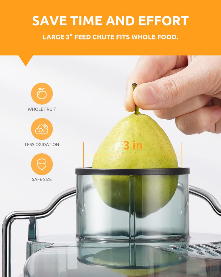 800W Juicer Machine