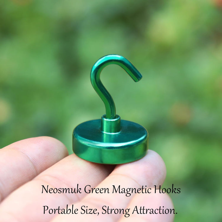 Magnetic Hooks (10 Count)