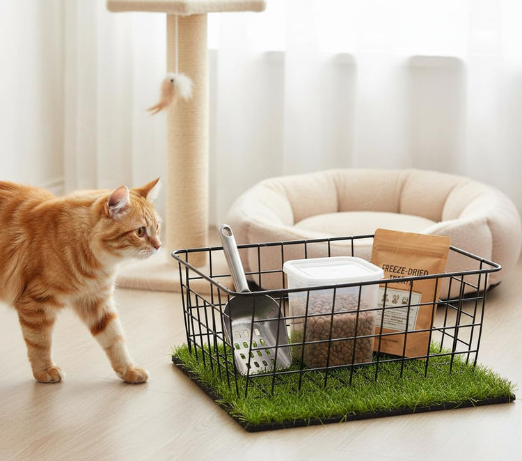 Wire Baskets with Handles Wire Storage Organizer Bin Baskets (2 Count)