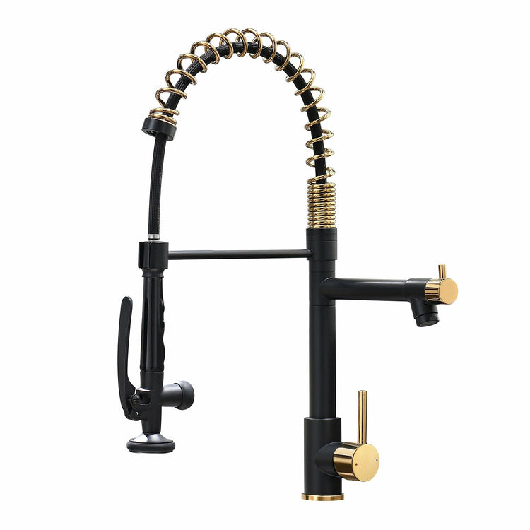 Black&Gold Kitchen Faucet with Sprayer