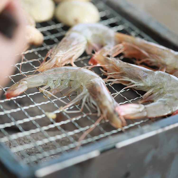 Stainless Steel Grill Griddle