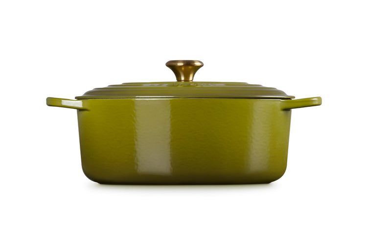 Enameled Cast Iron Oval Dutch Oven