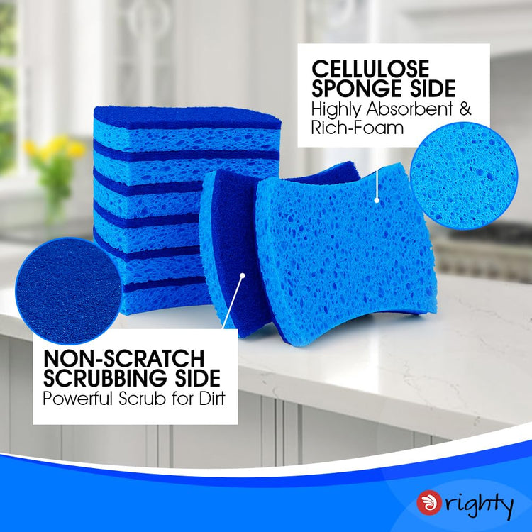 Non Scratch Scrub Sponges (24 Count)