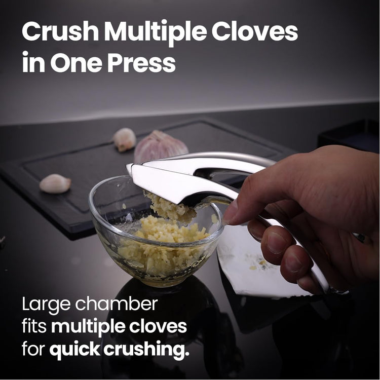 Lifetime Replace Garlic Press