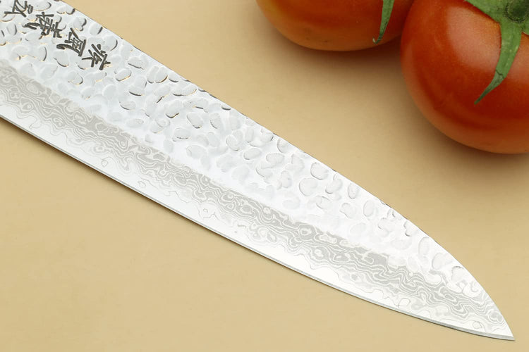 VG10 46 Layers Hammered Damascus Gyuto Japanese Chefs Knife
