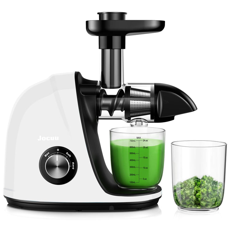 Slow Masticating Juicer with 2