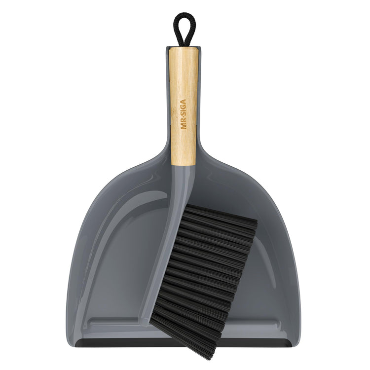 Dustpan and Brush Set