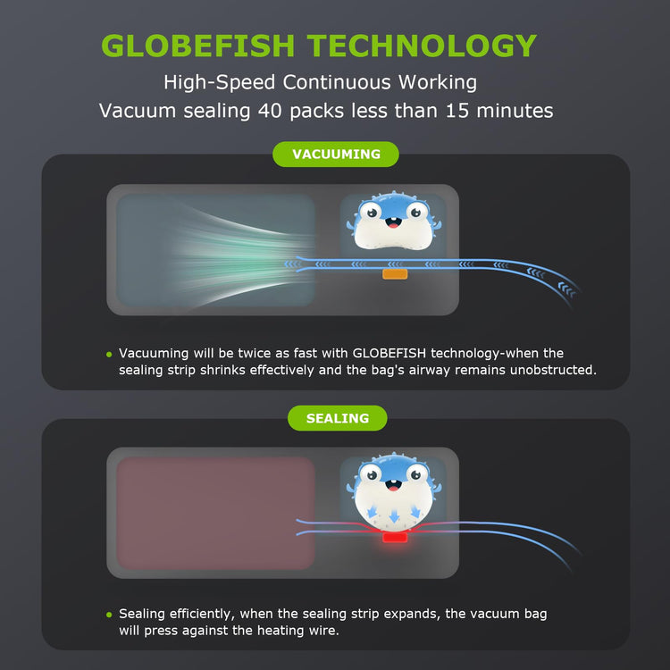 Vacuum Sealer for Food