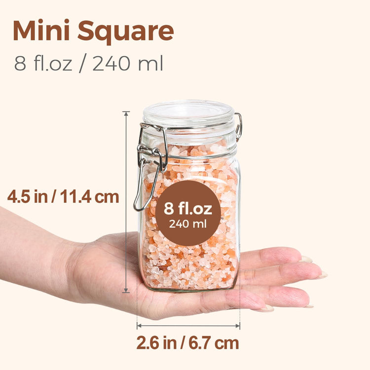 Square Small 8 oz Glass Spice Jars with Airtight Lids 12 Pack Pantry (12 Count)