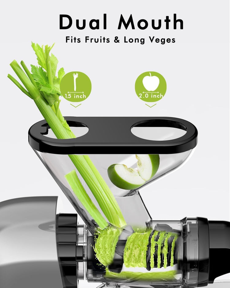 Mini Slow Masticating Juicer