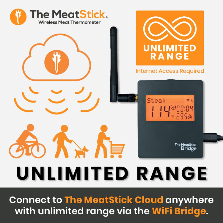 MeatStick WiFi Travel Pack