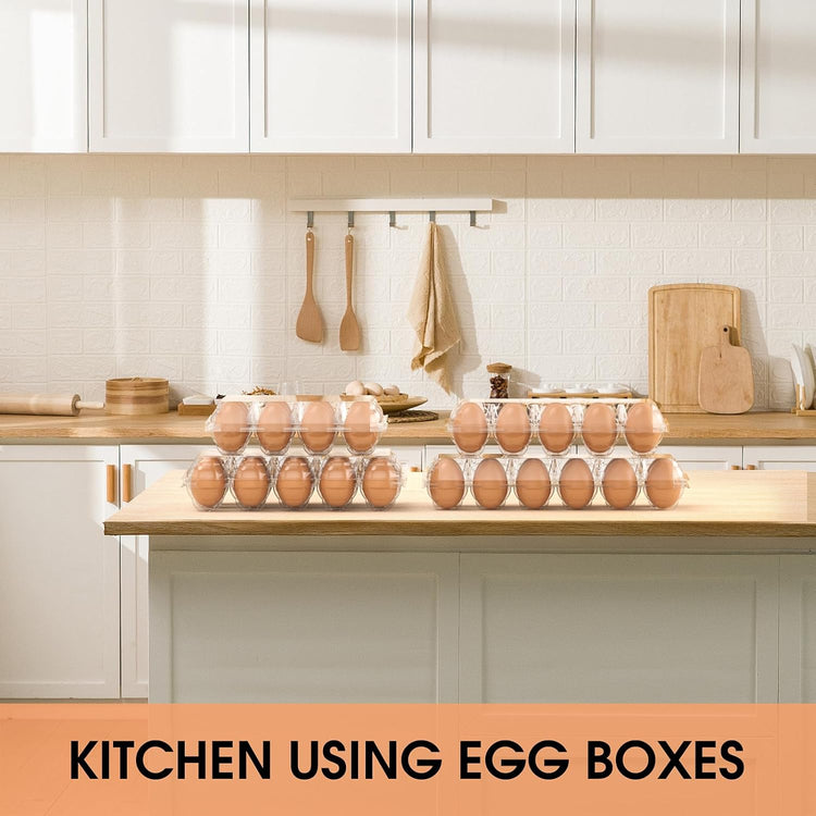 EVANCENT Egg Cartons Cheap Bulk 48 Pack, 1 Dozen Plastic Egg Carton for Refrigerator, Reusable Egg Container holders for Storing, Sharing, Selling, Clear Tray for Home Ranch Farm Market-2x6 Grids