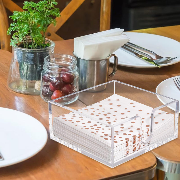 2 Pack Napkin Holder