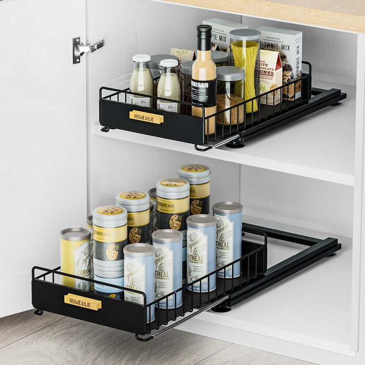 Under Sink Organizer