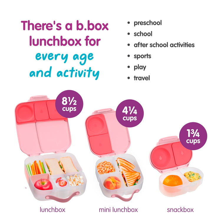 Snack Box Snack Containers for Kids