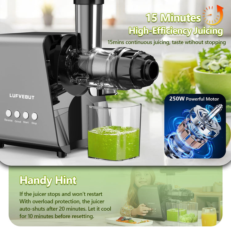 Slow Juicer Carrot Ginger